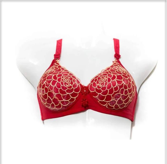 Single Padded Fancy Red Bra